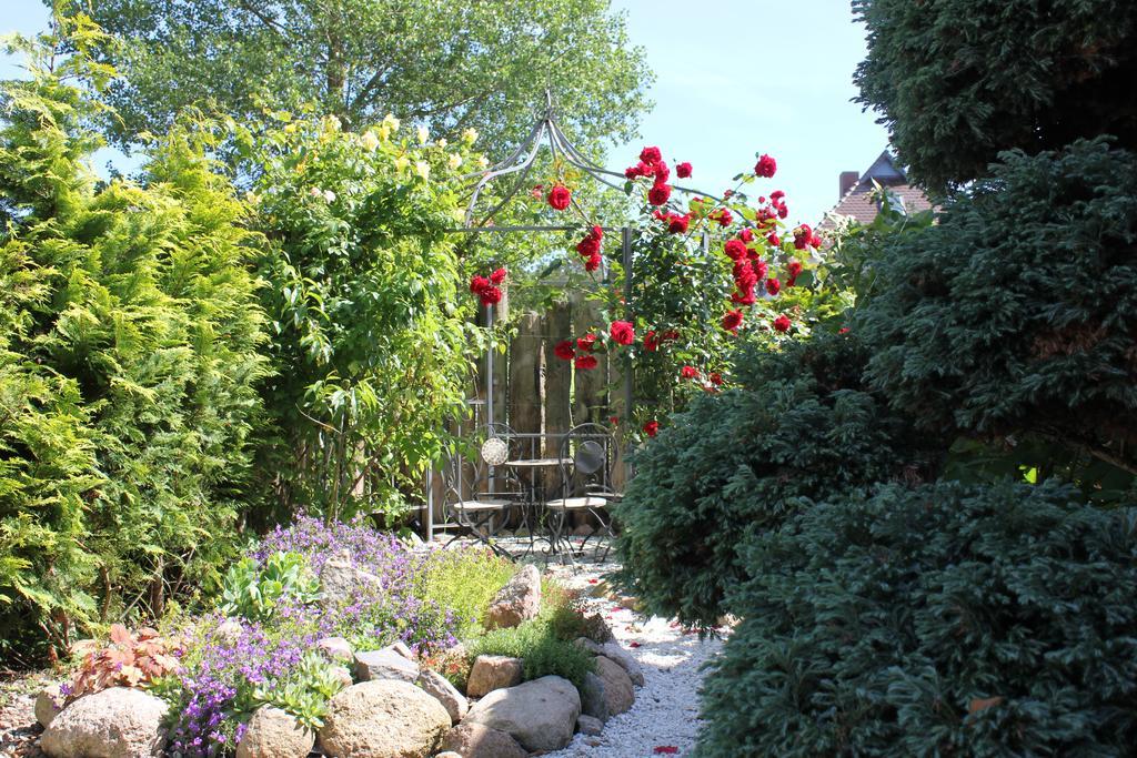 Haus Amo Solem Apart otel Dierhagen Oda fotoğraf